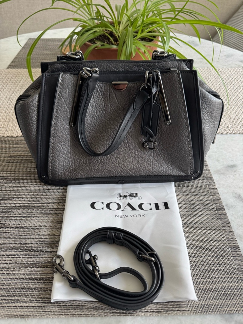 Coach Dreamer (style 38546) in Gray and Black